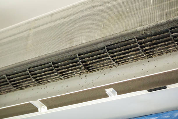 Best Air Duct Cleaning Company Near Me  in Greenbelt, MD